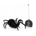 ИК паук Cute Sunlight Черная вдова, свет