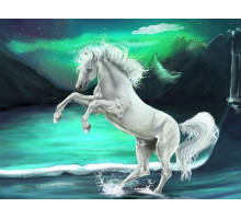 Картина по номерам с цветной схемой на холсте 30х40 Фэнтези (18 цветов)