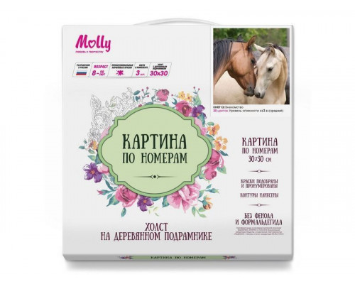 Картина по номерам 30х30 Знакомство (20 цветов)