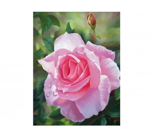 Алмазная мозаика 15х20 ЦВЕТОК РОЗЫ (11 цветов)