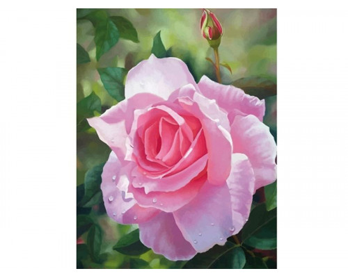 Алмазная мозаика 15х20 ЦВЕТОК РОЗЫ (11 цветов)