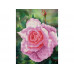 Алмазная мозаика 15х20 ЦВЕТОК РОЗЫ (11 цветов)
