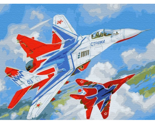 Картина по номерам с цветной схемой на холсте 30х40 Стрижи (18 цветов)