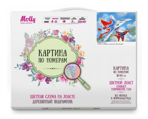 Картина по номерам с цветной схемой на холсте 30х40 Стрижи (18 цветов)