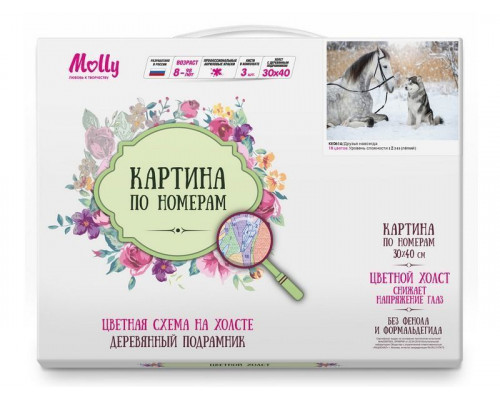 Картина по номерам с цветной схемой на холсте 30х40 Друзья навсегда (18 цветов)