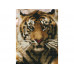 Алмазная мозаика 15х20 ПОРТРЕТ ТИГРА (14 цветов)