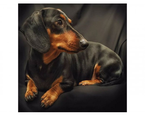 Картина мозаикой 30х30 ТАКСА (квадр. эл-ты) (19 цветов)