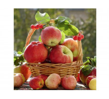 Картина по номерам 30Х30 АРОМАТ ОСЕНИ (22 цвета)