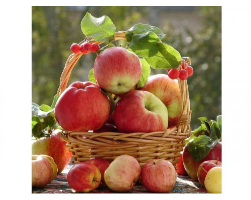 Картина по номерам 30Х30 АРОМАТ ОСЕНИ (22 цвета)