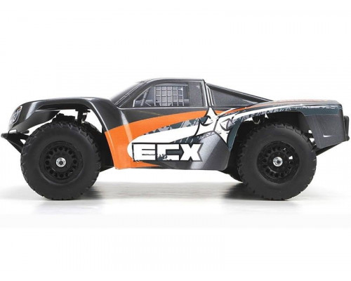 Чехол для ECX TORMENT 1:10 зимний