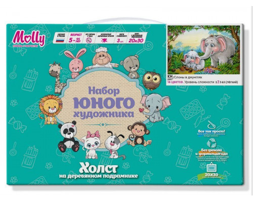 Набор юного художника 20х30 СЛОНЫ В ДЖУНГЛЯХ  (16 цветов)