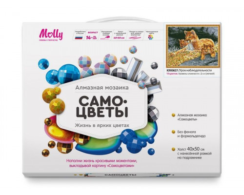 Алмазная мозаика с нанесенной рамкой 40х50 УРОК НАБЛЮДАТЕЛЬНОСТИ (19 цветов)
