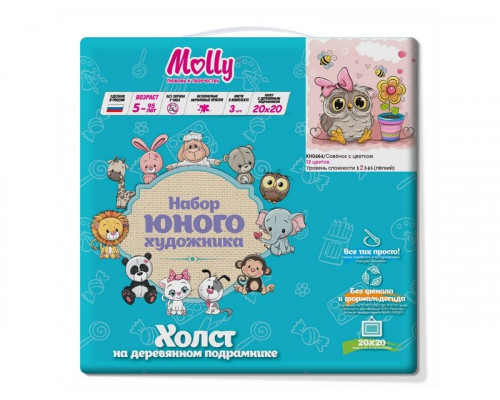 Набор юного художника 20х20 Совёнок с цветком (12 цветов)