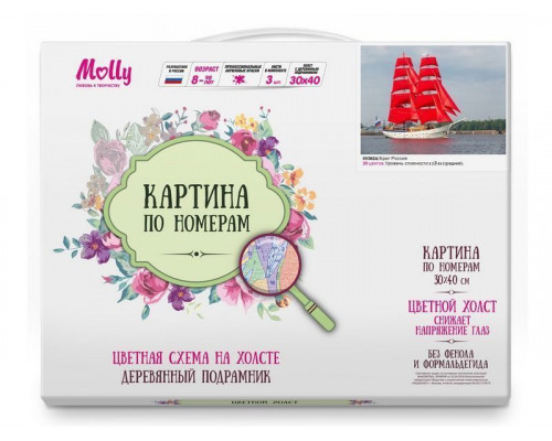 Картина по номерам с цветной схемой на холсте 30х40 Бриг Россия (20 цветов)