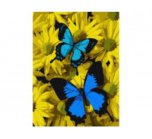 Картина по номерам 15х20 СИНИЕ БАБОЧКИ В ЦВЕТАХ (13 цветов)