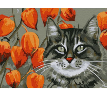 Картина по номерам 15х20 МЕЧТАТЕЛЬ (12 цветов)