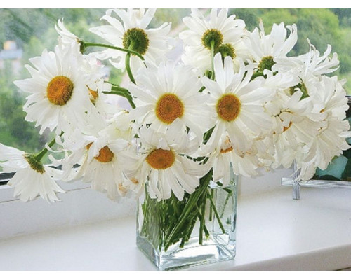 Картина по номерам 40х50 РОМАШКИ В ВАЗЕ (26 цветов)