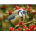Картина по номерам 15х20 СИНИЧКА (18 цветов)