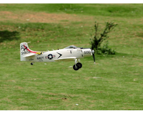 Радиоуправляемый самолет Top RC A1 Sky Raider Pro белый 800мм flight controller PNP