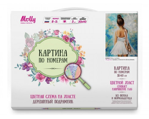 Картина по номерам с цветной схемой на холсте 30х40 Путь к успеху (19 цветов)