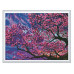 Алмазная мозаика с нанесенной рамкой 40х50 САКУРА В ЦВЕТУ (20 цветов)