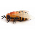 Радиоуправляемый робот Пчела Honeybee ZF-9923