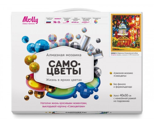 Алмазная мозаика с нанесенной рамкой 40х50 АФРЕМОВ. ИСААКИЕВСКИЙ СОБОР (25 цветов)