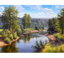 Картина мозаикой с нанесенной рамкой 40х50 ПРИЩЕПА. ПРОТОЧНАЯ РЕКА (32 цвета)